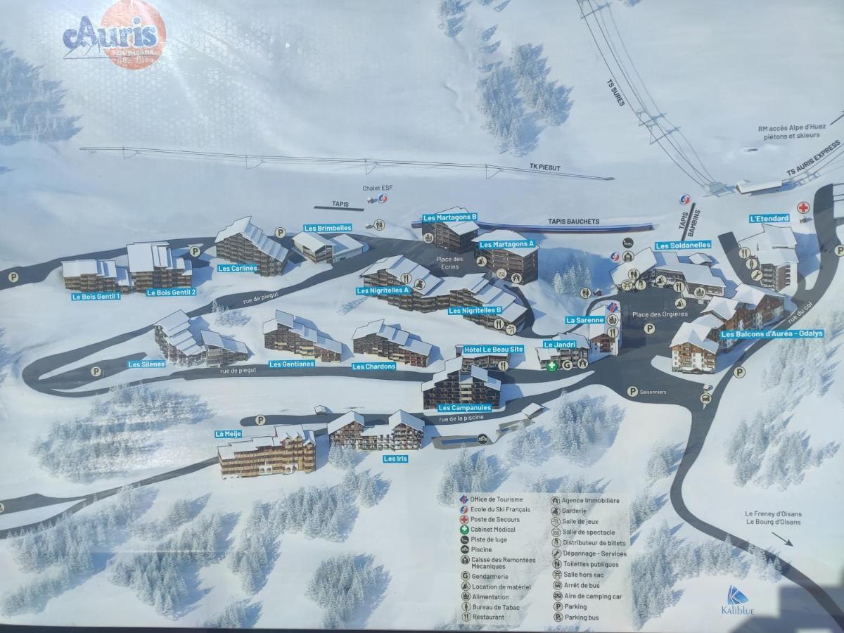 Les Iris T2 Station Alpe Huez Apartman Auris Kültér fotó