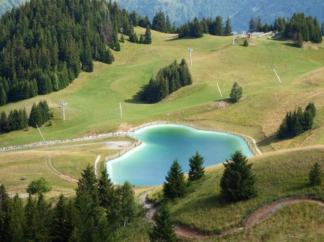 Les Iris T2 Station Alpe Huez Apartman Auris Kültér fotó